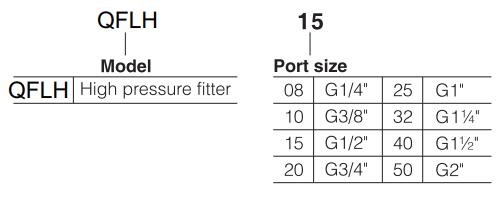 QFLH-Series-High-Pressure-Compressed-Air-Water-Separator-Product-ordering-code