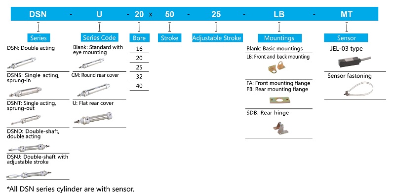 DNS Stainless Steel Round Pipe Mini Pneumatic Cylinder Ordering Code